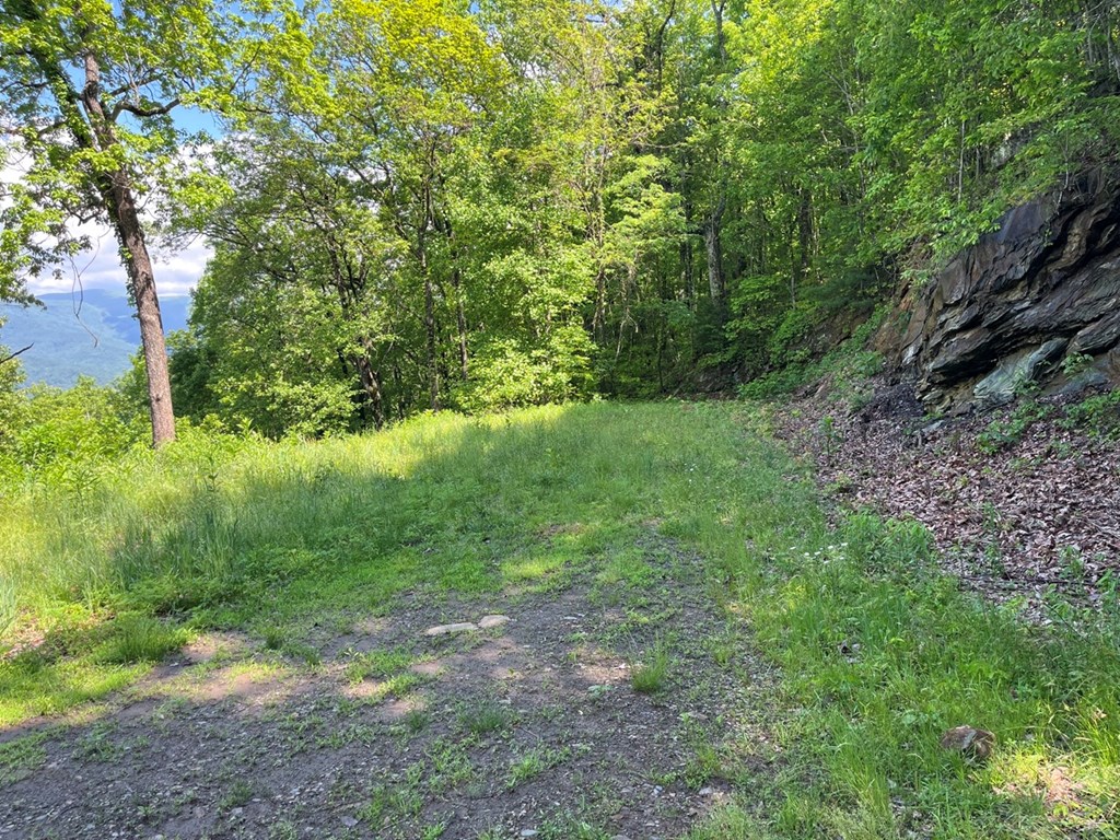 Lot 34 Wolf Knob Summit Property Photo 9
