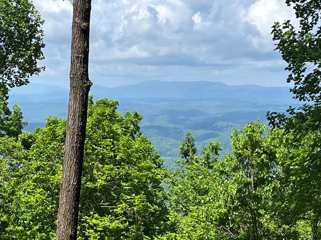 Lot 34 Wolf Knob Summit Property Photo 10