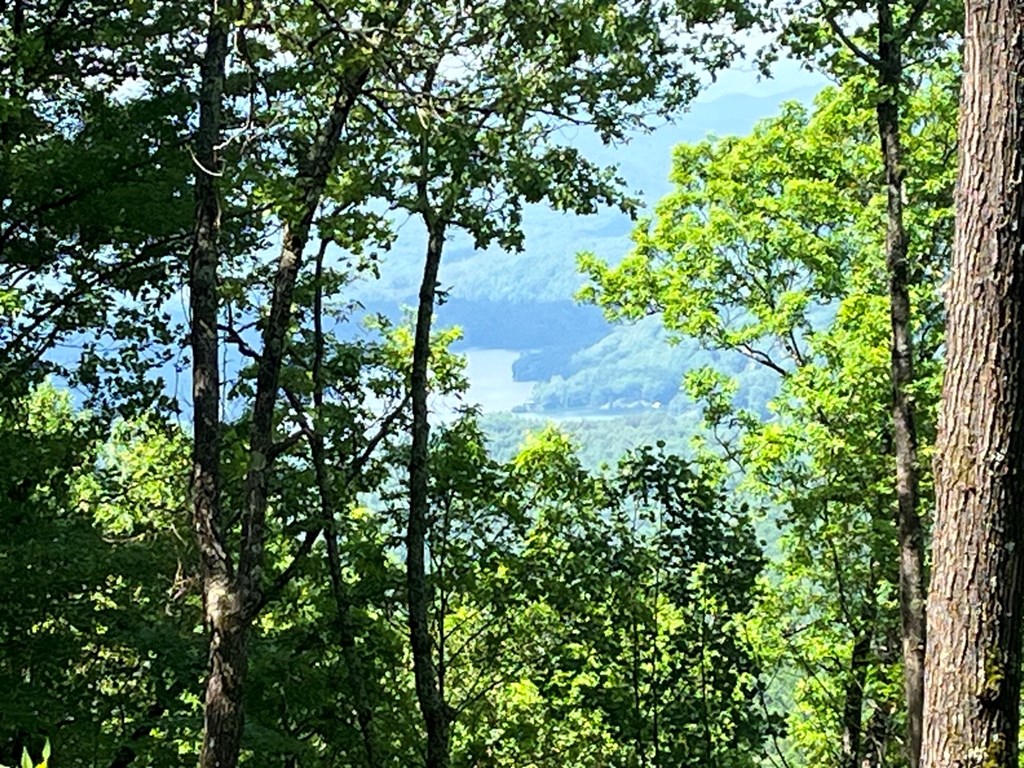 Lot 34 Wolf Knob Summit Property Photo 11