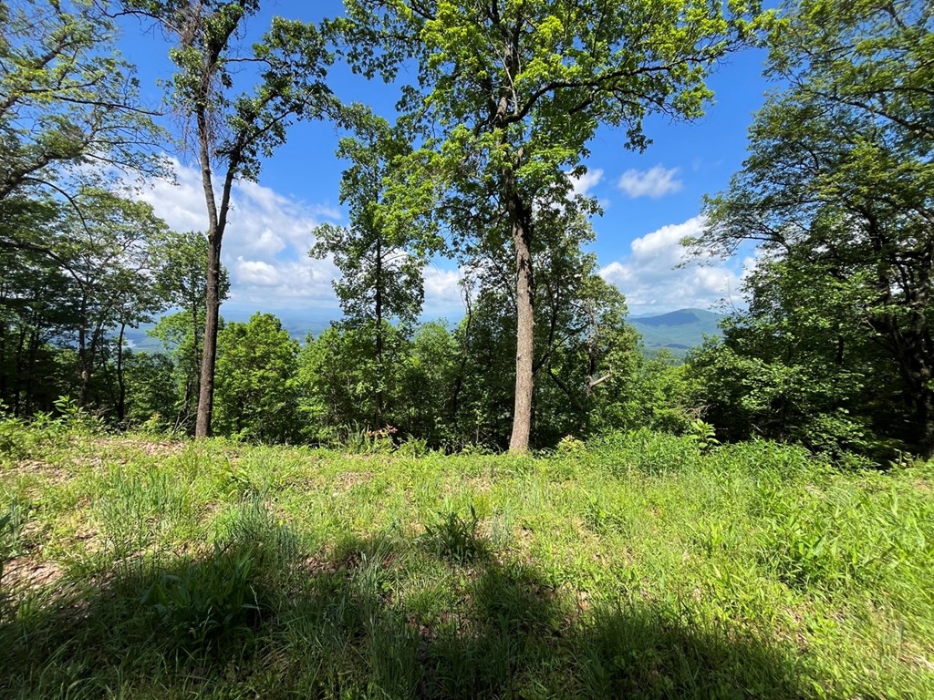 Lot 34 Wolf Knob Summit Property Photo 12