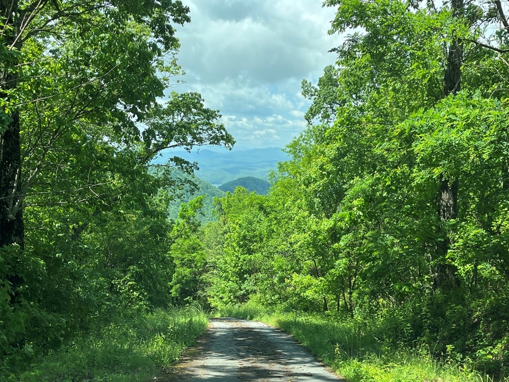 Lot 34 Wolf Knob Summit Property Photo 13