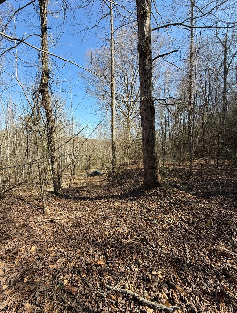 Tbd Royal Oaks Trail Property Photo 1