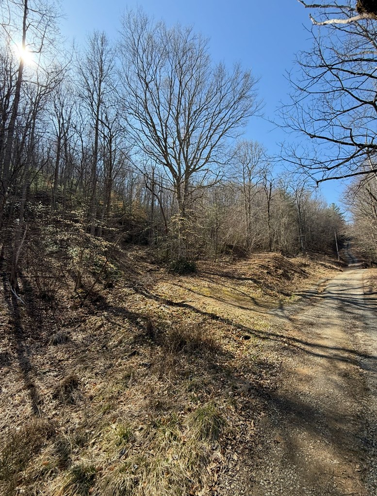 Tbd Royal Oaks Trail Property Photo 4
