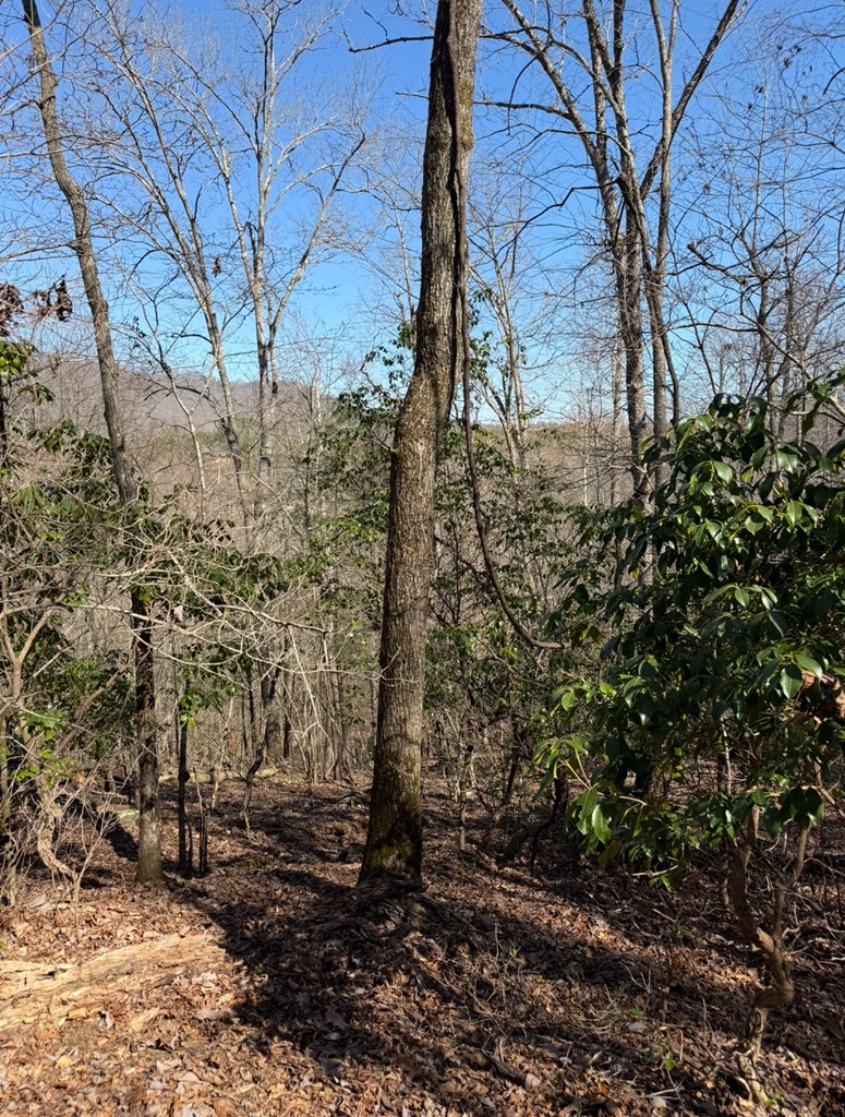 Tbd Royal Oaks Trail Property Photo 8
