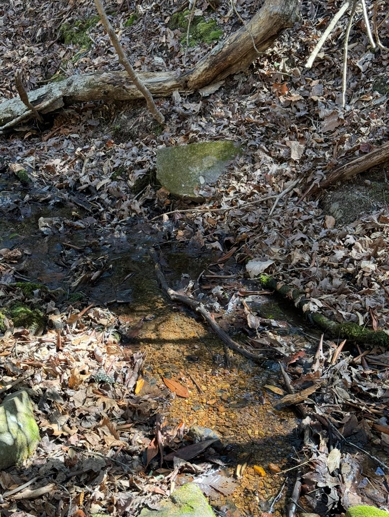 Tbd Royal Oaks Trail Property Photo 9