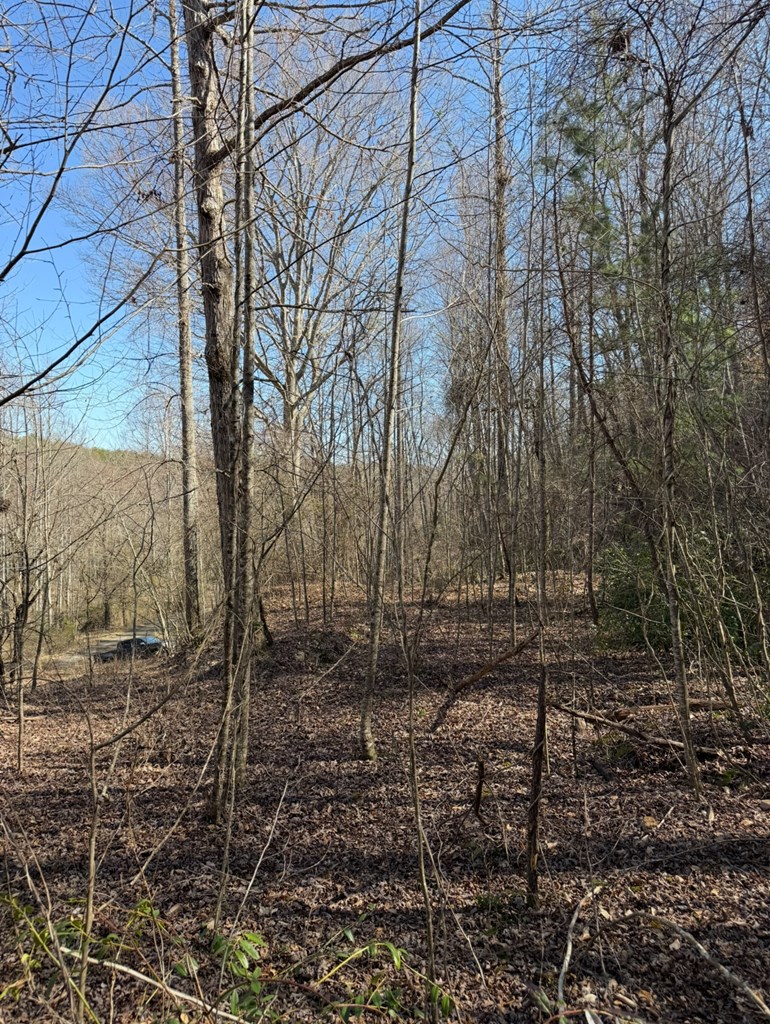 Tbd Royal Oaks Trail Property Photo 11