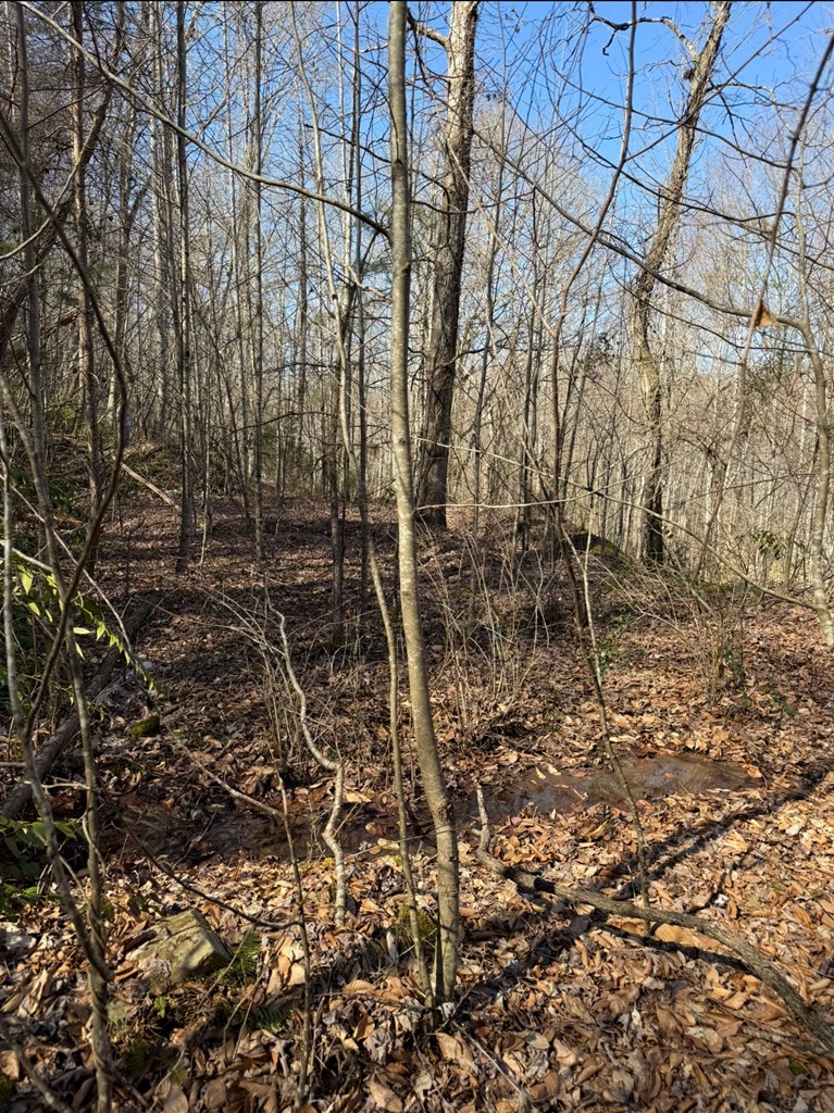 Tbd Royal Oaks Trail Property Photo 12