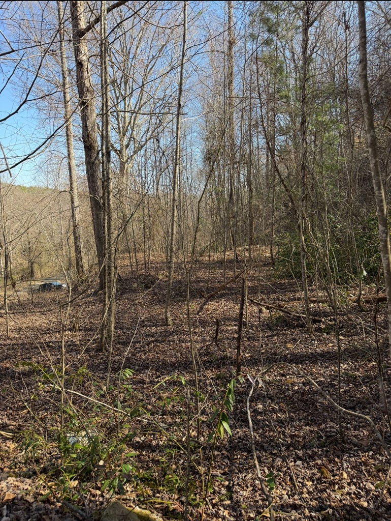 Tbd Royal Oaks Trail Property Photo 13