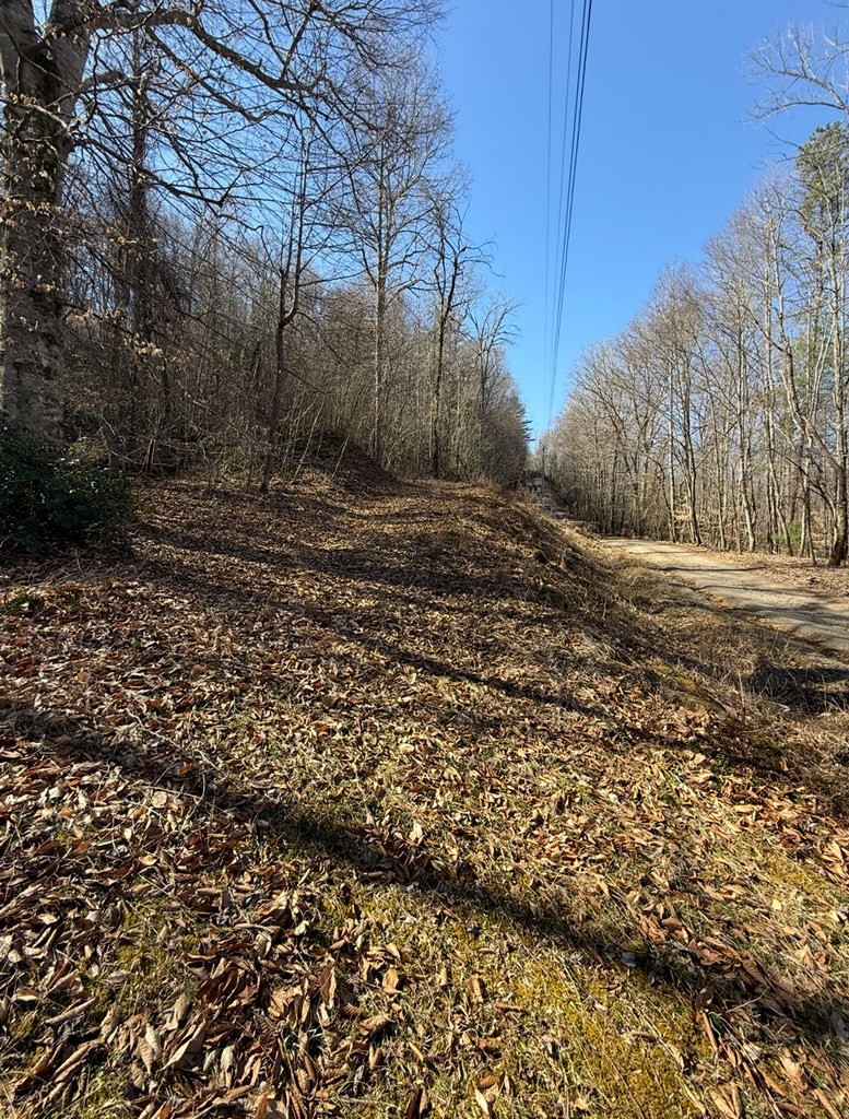 Tbd Royal Oaks Trail Property Photo 14