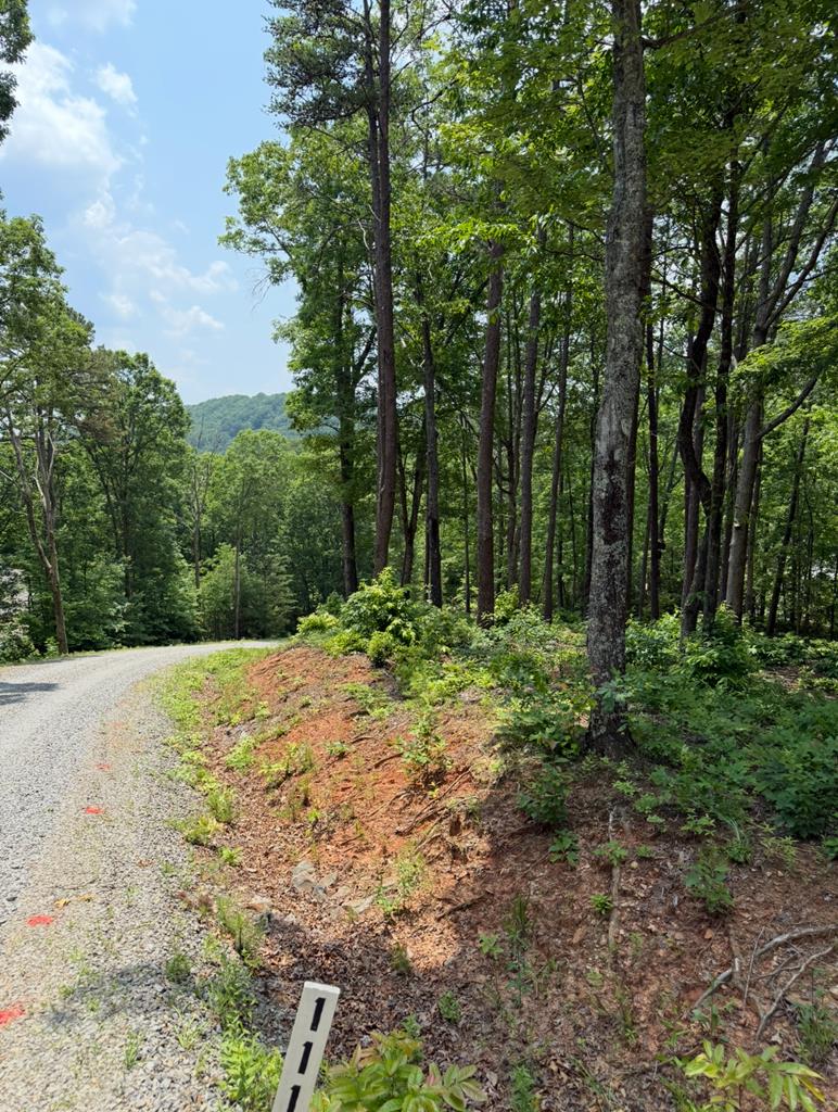 Lot 112 Broad Timber View Property Photo 1