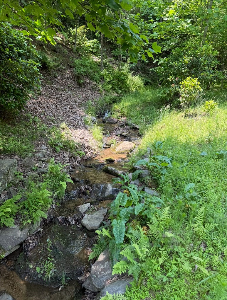 Lot 112 Broad Timber View Property Photo 4