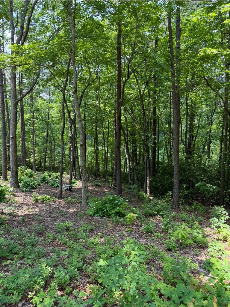 Lot 112 Broad Timber View Property Photo 6