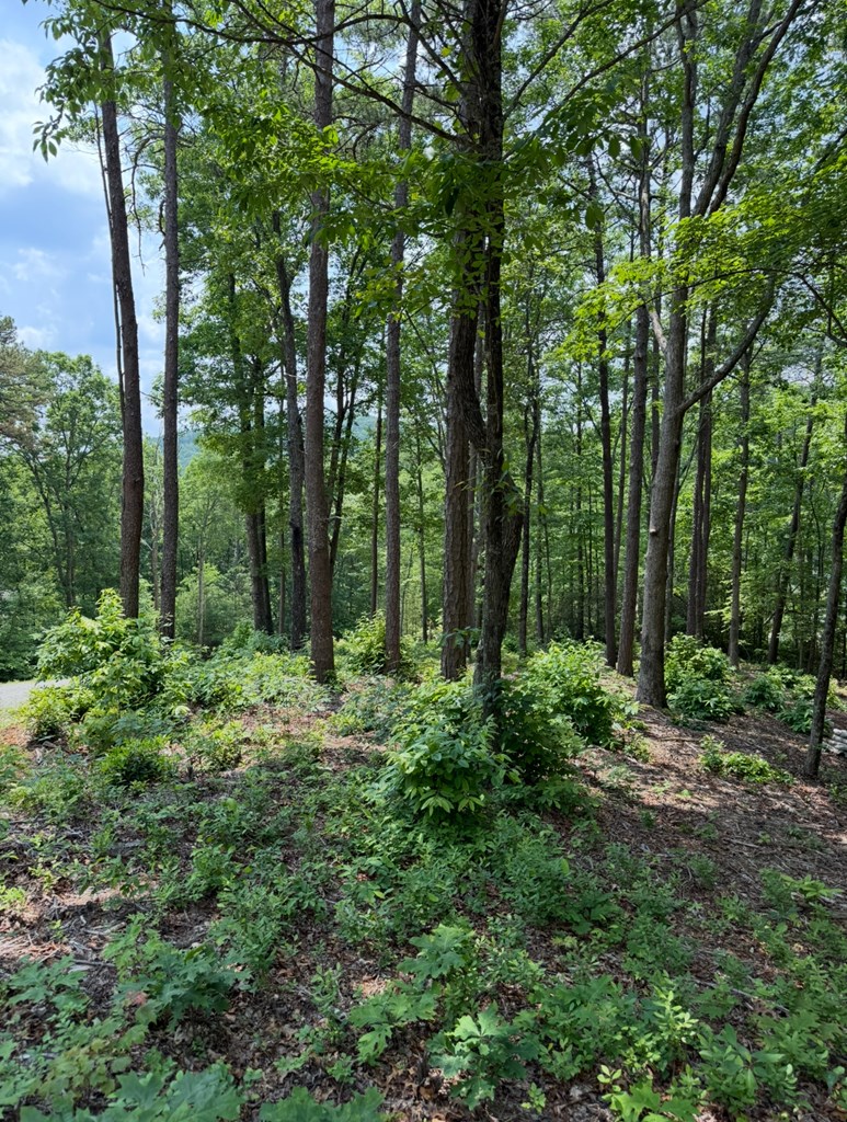 Lot 112 Broad Timber View Property Photo 7