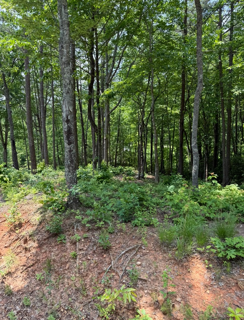 Lot 112 Broad Timber View Property Photo 8