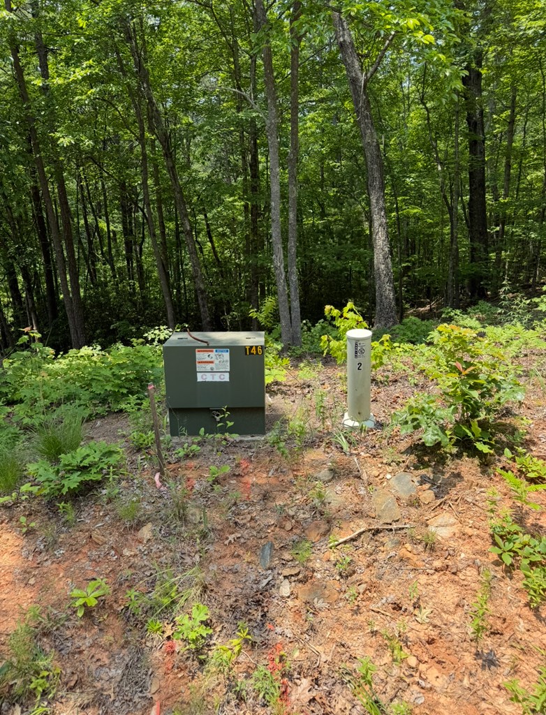 Lot 112 Broad Timber View Property Photo 9