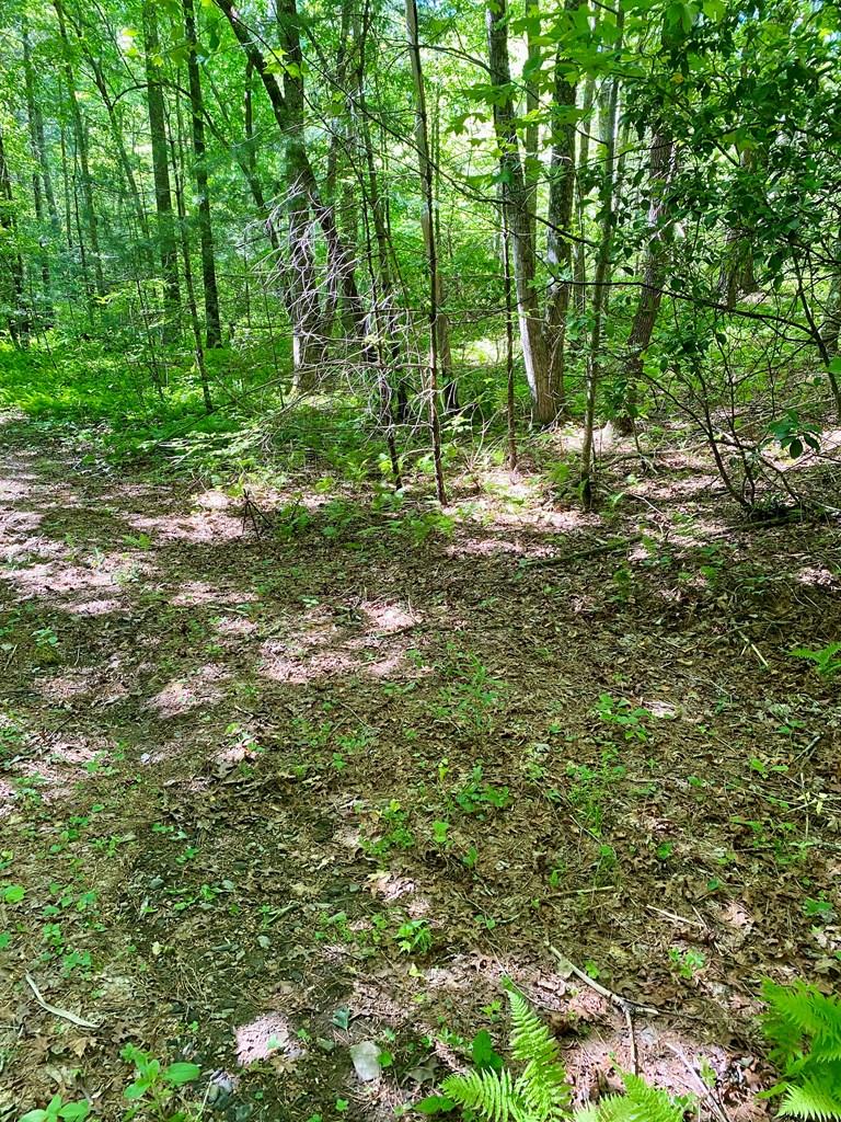 00 Deer Run - Lot 21 & 26 Property Photo 1