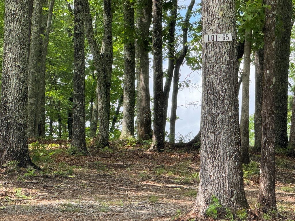 Lot 65 Thundering Hl Property Photo 2