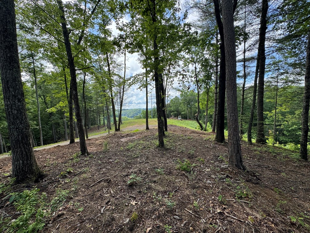 Lot 65 Thundering Hl Property Photo 4