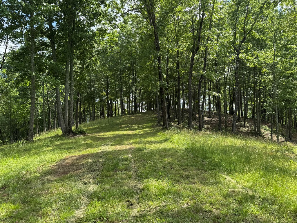 Lot 65 Thundering Hl Property Photo 5