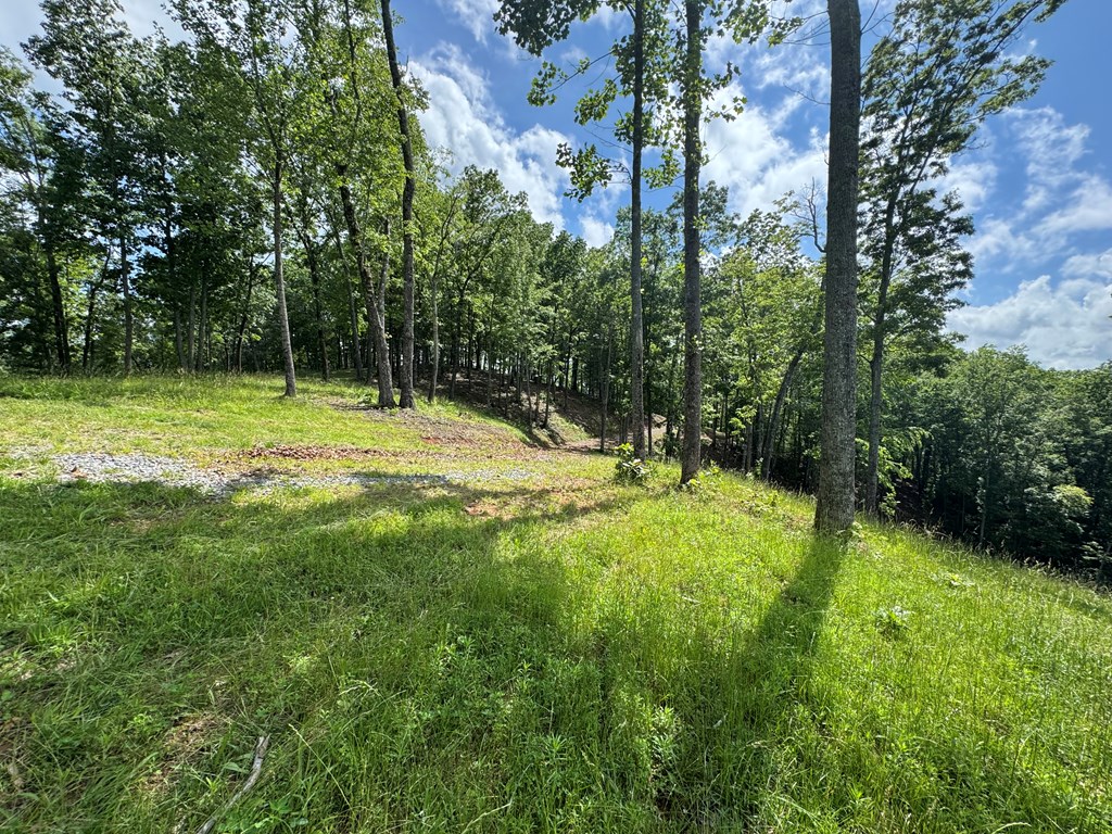 Lot 65 Thundering Hl Property Photo 6