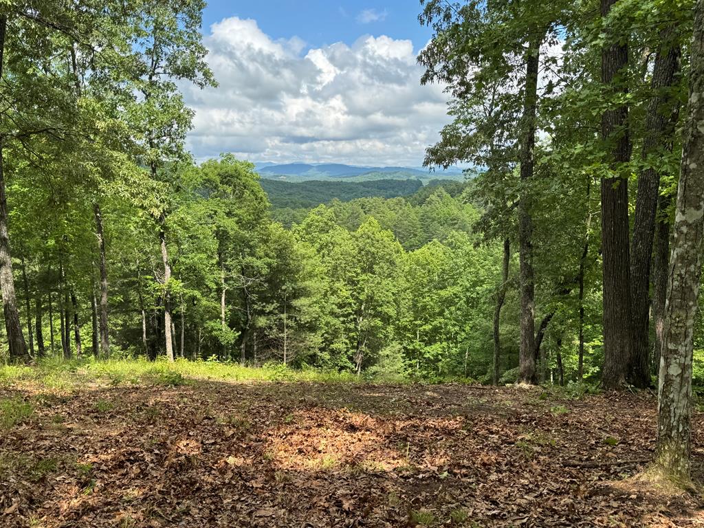 Lot 65 Thundering Hl Property Photo 9