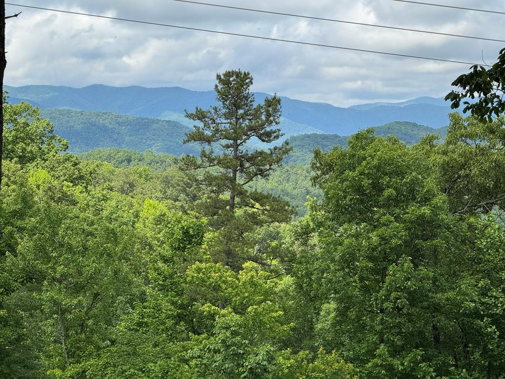 Lot 65 Thundering Hl Property Photo 10