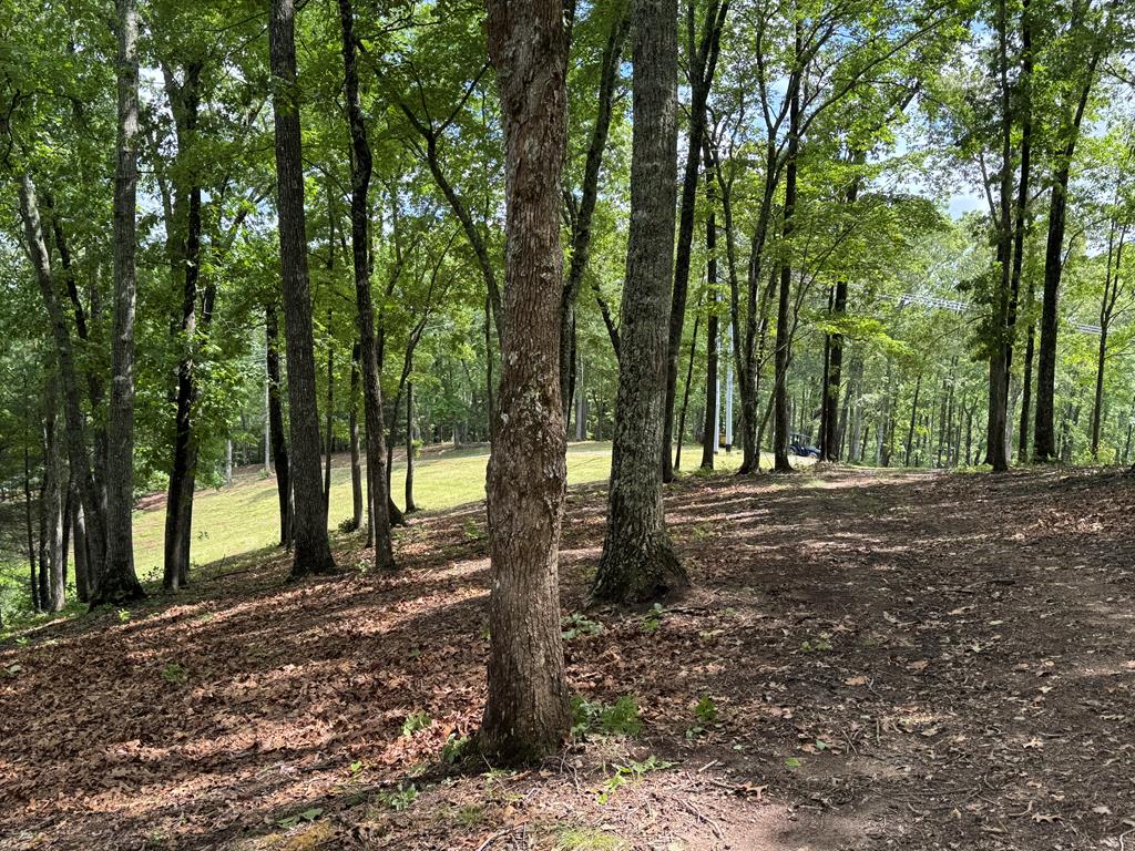 Lot 65 Thundering Hl Property Photo 14
