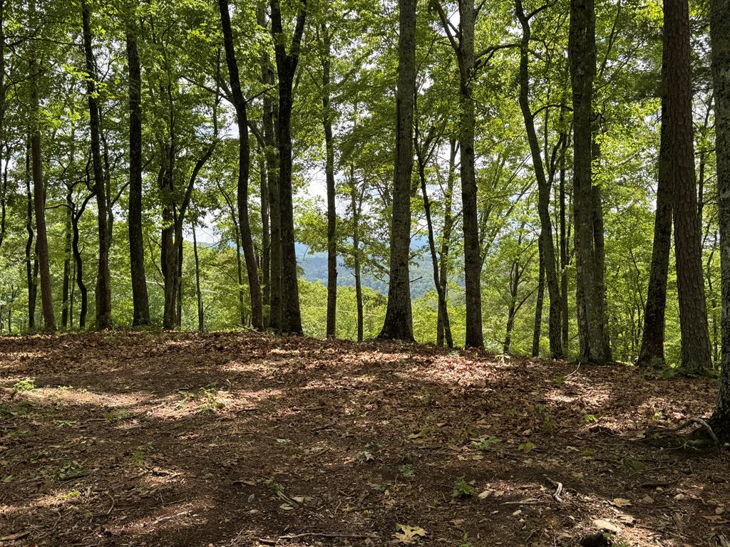 Lot 65 Thundering Hl Property Photo 15