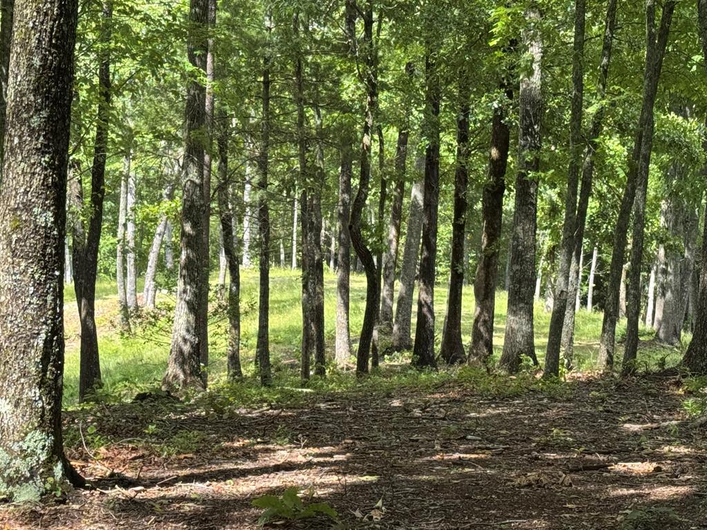 Lot 65 Thundering Hl Property Photo 16