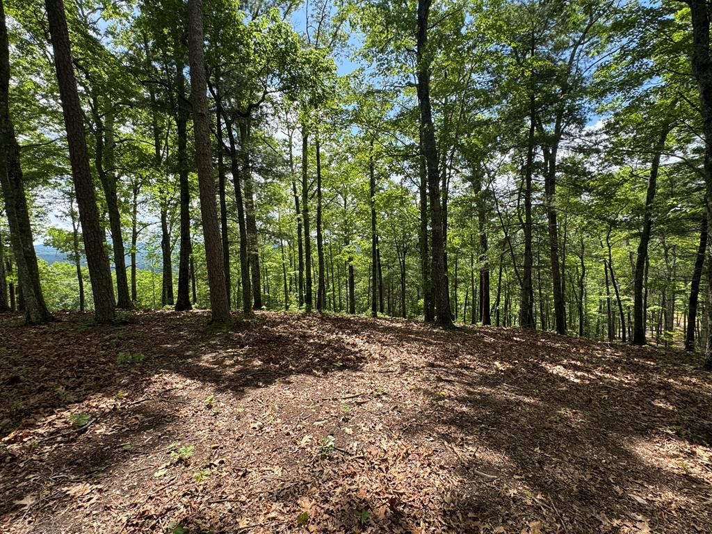 Lot 65 Thundering Hl Property Photo 17