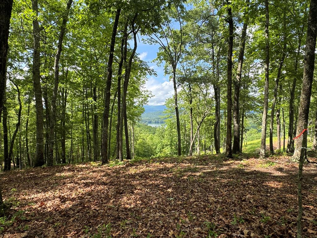 Lot 65 Thundering Hl Property Photo 19