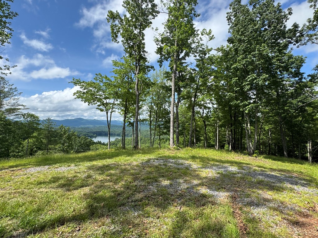 Lot 67 Thundering Hl Property Photo 2