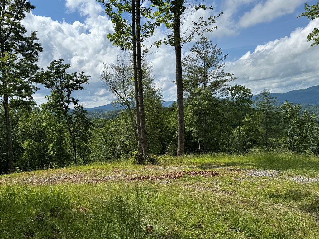 Lot 67 Thundering Hl Property Photo 5