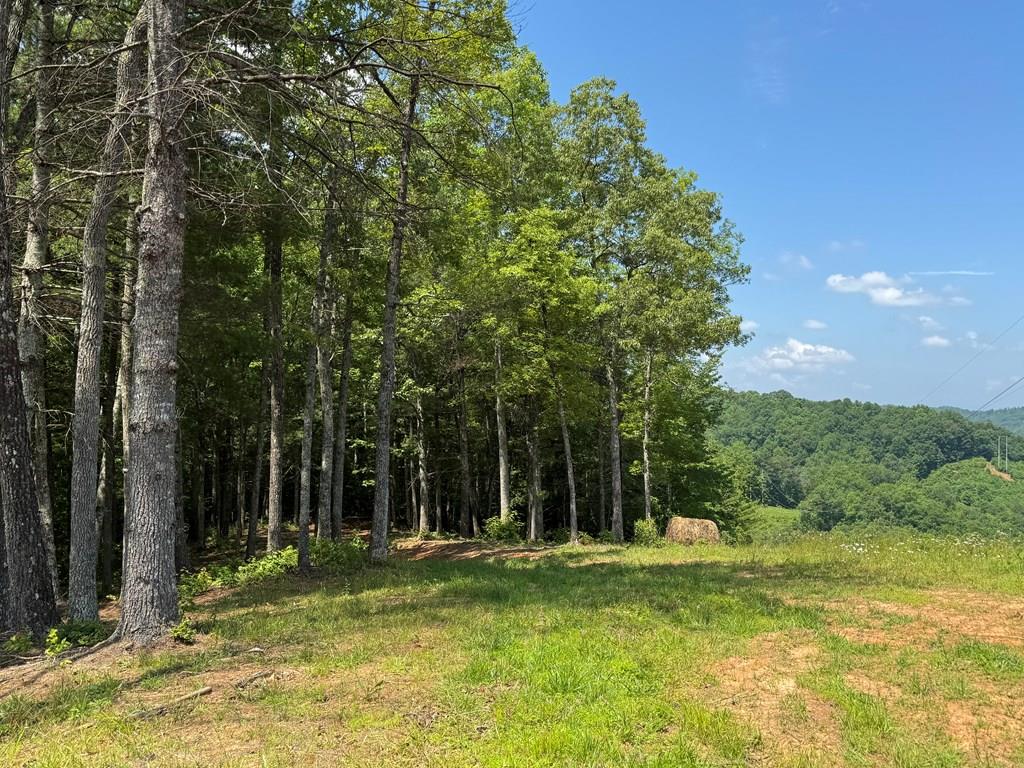 Lot 69 Thundering Hl Property Photo 3