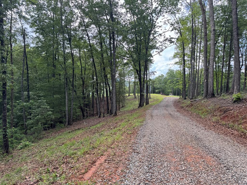 Lot 68 Thundering Hl Property Photo 1