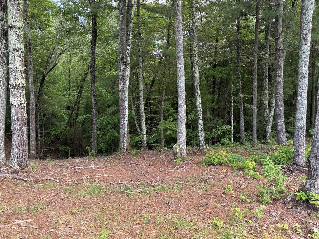 Lot 68 Thundering Hl Property Photo 3