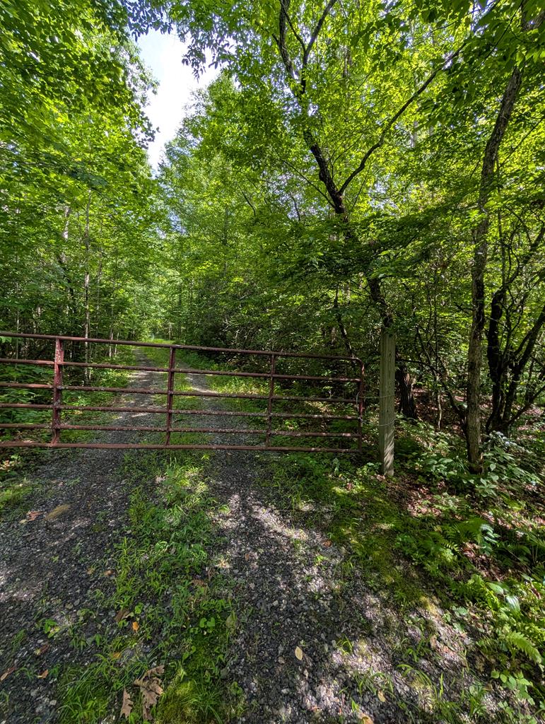 30.91 Ac Hwy 64 E Old Hwy 64 Junction Property Photo 3