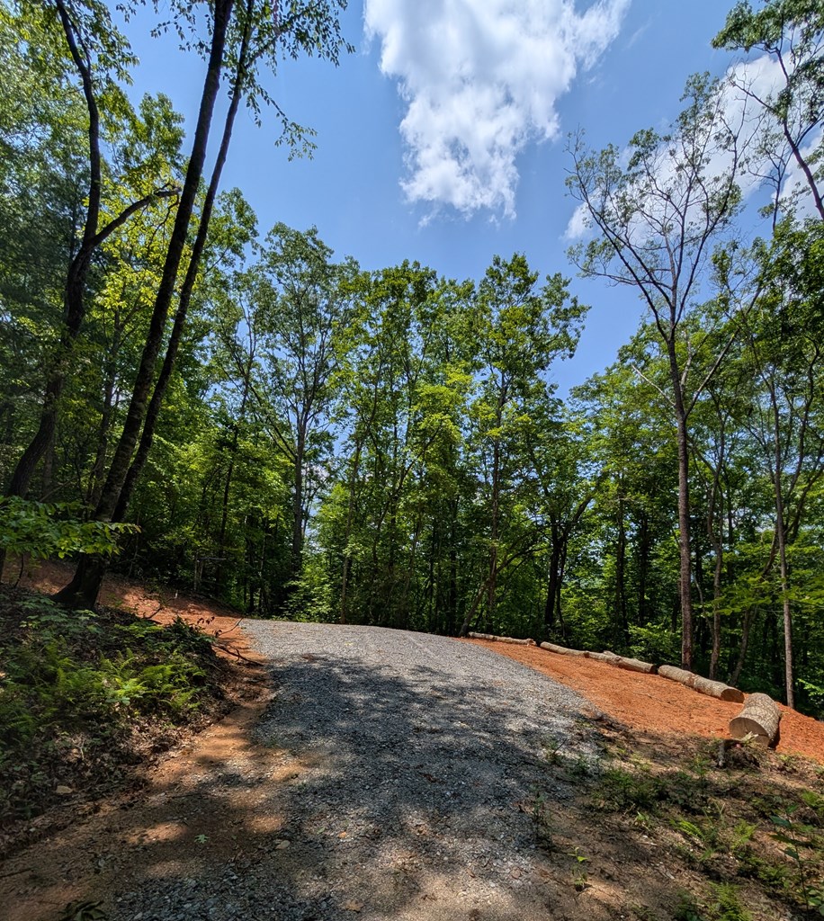 30.91 Ac Hwy 64 E Old Hwy 64 Junction Property Photo 5