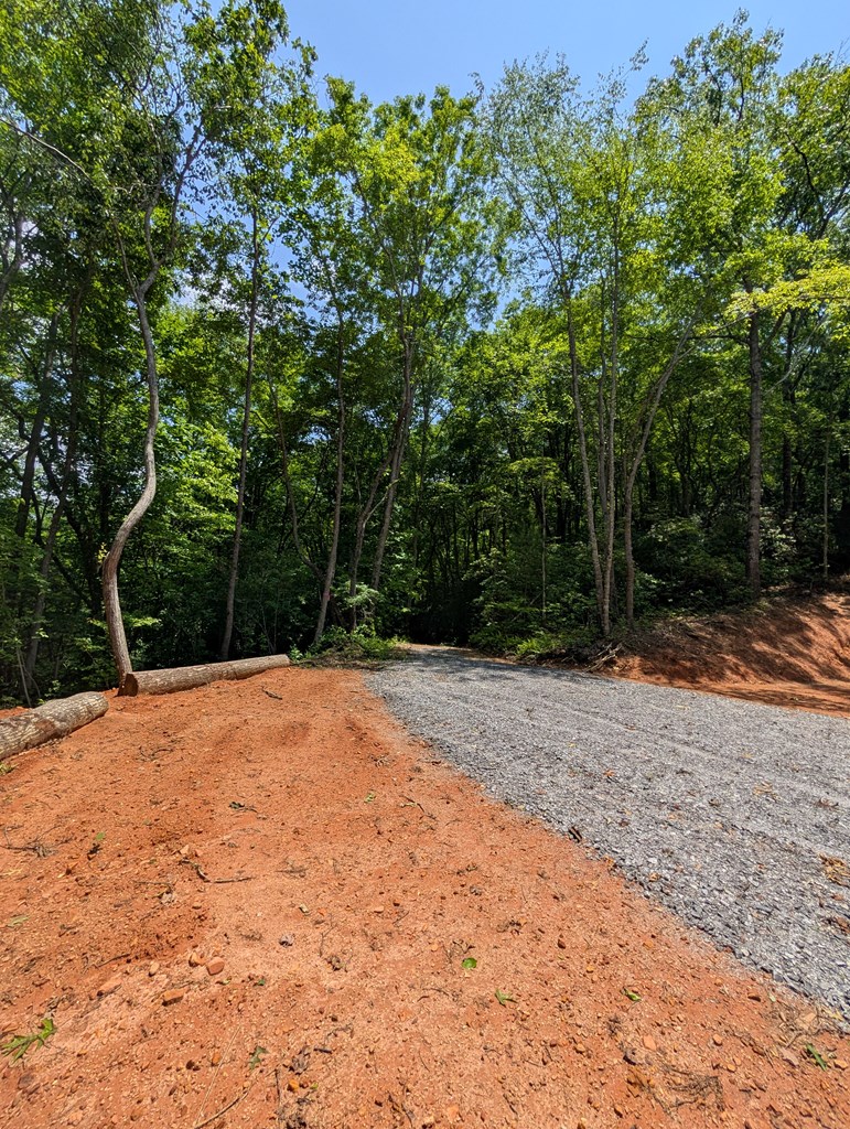 30.91 Ac Hwy 64 E Old Hwy 64 Junction Property Photo 6