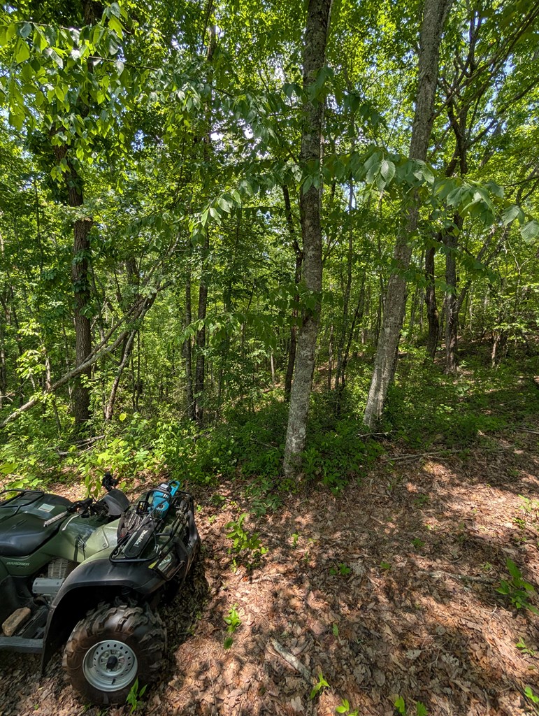 30.91 Ac Hwy 64 E Old Hwy 64 Junction Property Photo 11