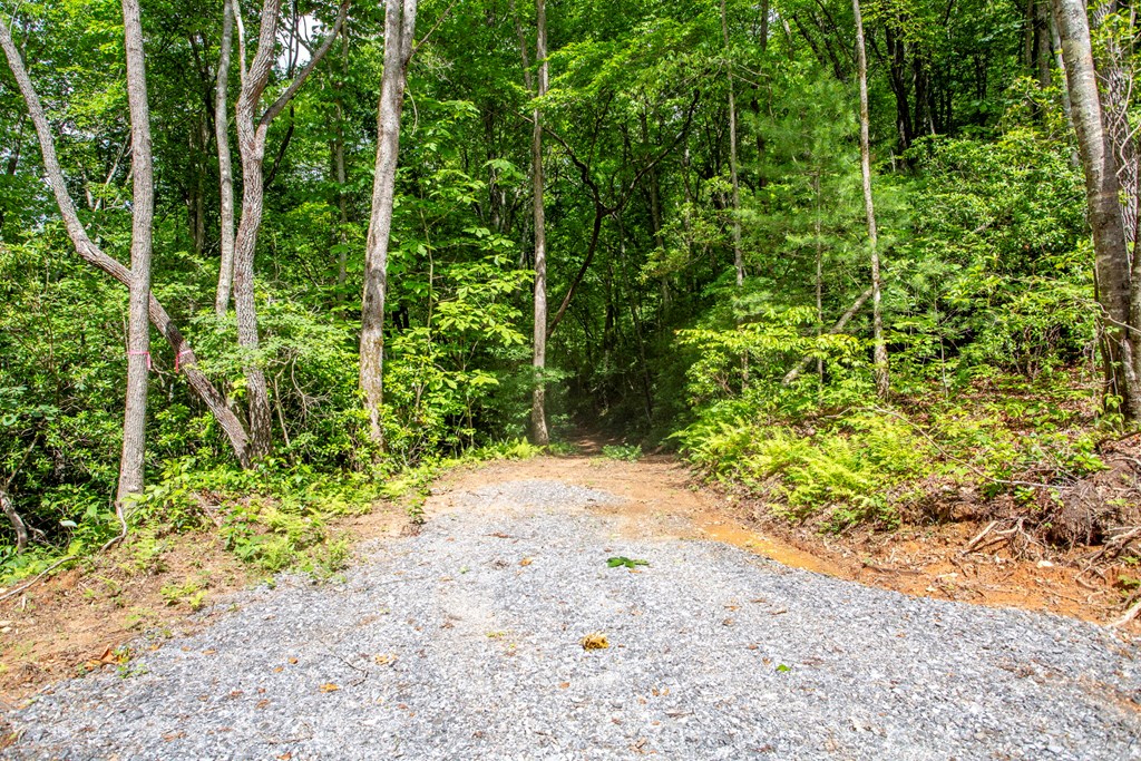 30.91 Ac Hwy 64 E Old Hwy 64 Junction Property Photo 15