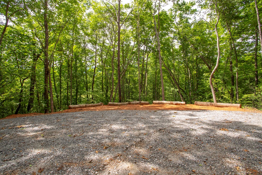 30.91 Ac Hwy 64 E Old Hwy 64 Junction Property Photo 17