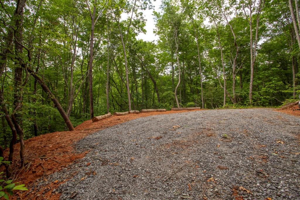 30.91 Ac Hwy 64 E Old Hwy 64 Junction Property Photo 20
