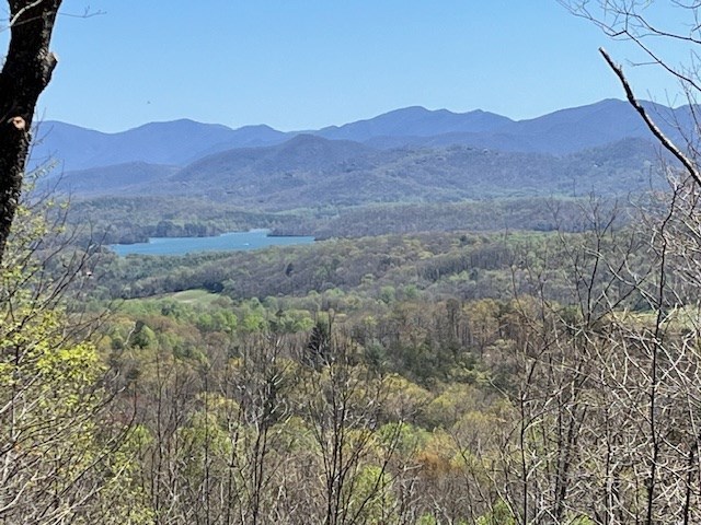 Lot 11 Longview Dr Property Photo 2