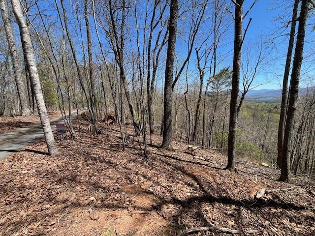 Lot 11 Longview Dr Property Photo 6