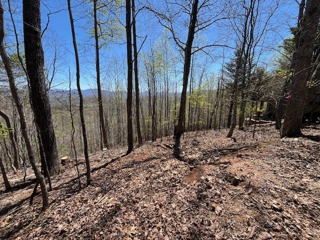 Lot 11 Longview Dr Property Photo 7