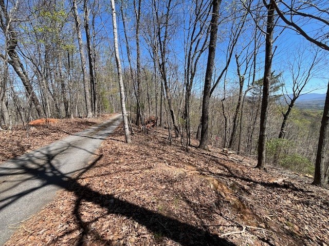 Lot 11 Longview Dr Property Photo 8