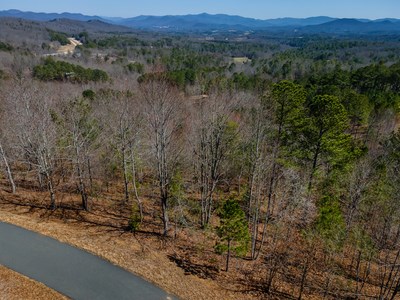Lt 38&39 The Hills At Queen's Gap Property Photo 3