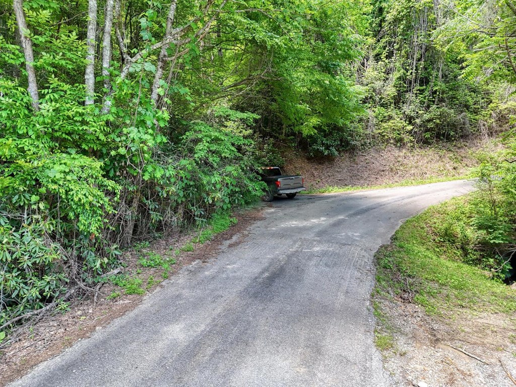 779 Grindstone Rd Property Photo 3