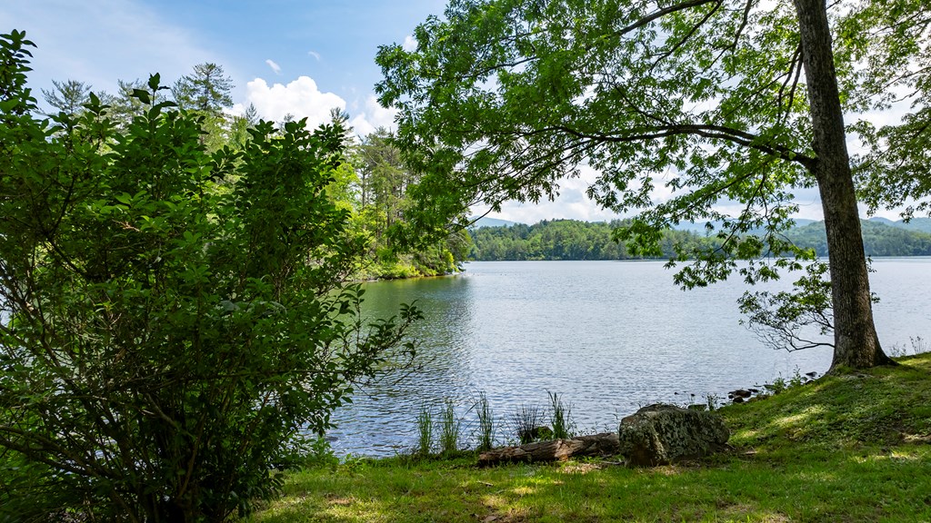 #6 Lakeside Property Photo 7